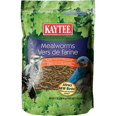 Black Pack of 1 Kaytee 100037659 Wild Bird Mealworm & Nut Mesh Feeder 6.7x6.7x7.3 Inch 